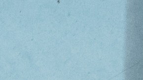 Cartel informativo de cupones de alimentos y tarjetas EBT