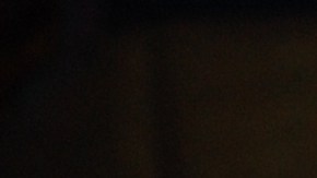 La pareja de Arturo y Amparo Ferrel mueren de COVID, con semanas de diferencia. (Cortesía Héctor Ferrel)