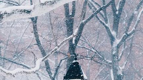 Nueva York se mantiene en estado de alerta ante la primera tormenta de nieve del año.