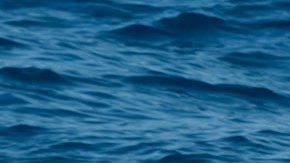 Guardia Costera de Miami realizó la búsqueda de 16 personas que naufragaron muy cerca de las costas de Florida.