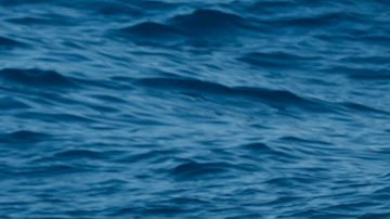 Guardia Costera de Miami realizó la búsqueda de 16 personas que naufragaron muy cerca de las costas de Florida.