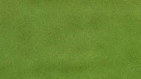 felix torrres santos