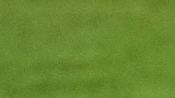 felix torrres santos