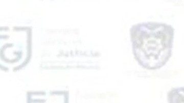 FOTOS: Cae la Chamaca, mujer narco que lideraba grupo criminal