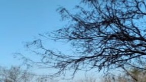 FOTO: Así hallaron 4 sicarios calcinados cerca de la frontera