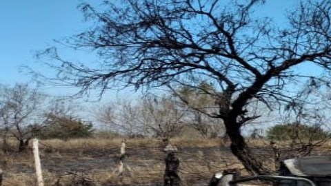 FOTO: Así hallaron 4 sicarios calcinados cerca de la frontera