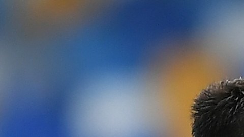 El mexicano se ha ganado la confianza del entrenador Gennaro Gattuso.