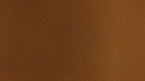 Omor lidera la carta que le enviaron a Biden y a Harris.