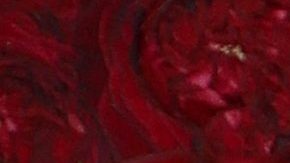 Valentina Ferrer y J Balvin.