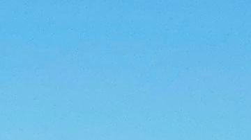 El accidente fue al sur de la ciudad de Phoenix.