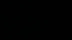 Expresidente Donald Trump.