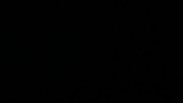 Expresidente Donald Trump.