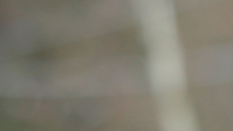 El Servicio de Inmigración sigue aceptando solicitudes de trabajadores que actualmente tienen esta visa.