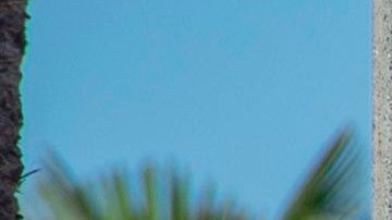 El Concejo Municipal de Huntington Beach retiró la moción contra el alcalde.