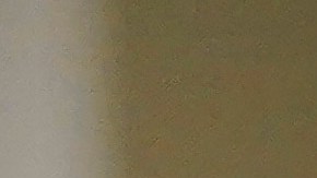 Newsom estuvo este domingo en centros de vacunación móvil de Inglewood y East LA. (Archivo)