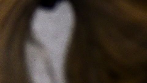 La variante CAL.20C representa casi la mitad de los casos en el sur del estado.