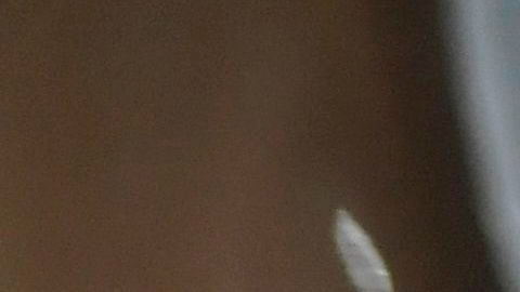 Padres latinos advierten del reisgo del síndrome inflamatorio multisistémico en niños.