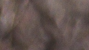 Proud Boys figrua ahora para Canadá en la misma lista que al-Qaeda y el Estado Islámico.