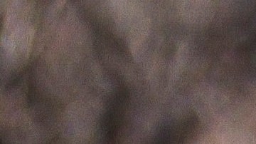 Proud Boys figrua ahora para Canadá en la misma lista que al-Qaeda y el Estado Islámico.