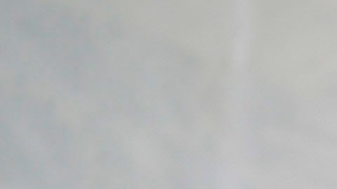 Mike y Karen Pence se trasladaron al norte de Virginia después de dejar el cargo.