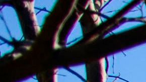 DHS dice que quiere garantizar que todas las personas tengan acceso a la vacuna.