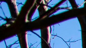 DHS dice que quiere garantizar que todas las personas tengan acceso a la vacuna.