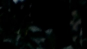 La pareja presidencial ya se había referido a esta fecha anteriormente.