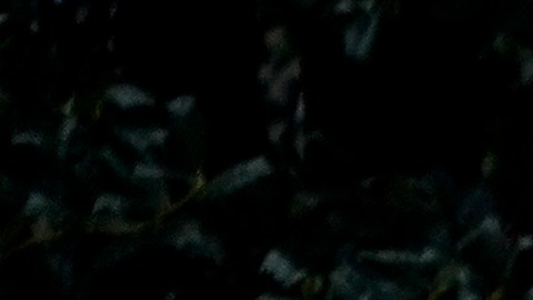 La pareja presidencial ya se había referido a esta fecha anteriormente.