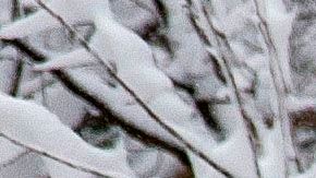 Tormenta de nieve en Estados Unidos pone en alerta a la población de más de 40 estados.