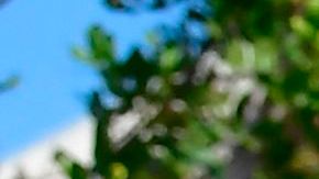 Trabajadores del área no incorporada del condado de L.A. recibirán el pago extra.