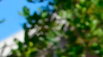 Trabajadores del área no incorporada del condado de L.A. recibirán el pago extra.