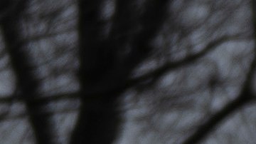 Trump quiere volver a presentarse a la presidencia en 2024.