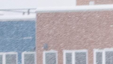 La nieve cubrió de blanco las calles de Seattle el pasado fin de semana.