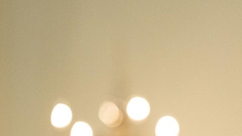 Los presidentes de Estados Unidos y Canadá sostendrán su primera reunión virtual para hablar de temas binacionales de interés común.