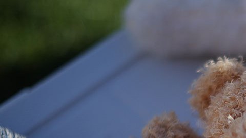 Oso de peluche representa niño separado de sus padres