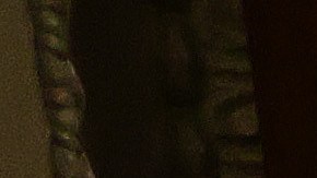 Varios senadores republicanos criticaron las intervención de la defensa de Trump.