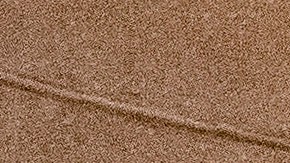 El senador republicano Mitt Romney fue uno de los legisladores que estuvo cerca de la multitud extremista.