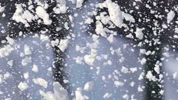 Nueva tormenta invernal comienza a provocar afectaciones en el sur y centro de Estados Unidos.