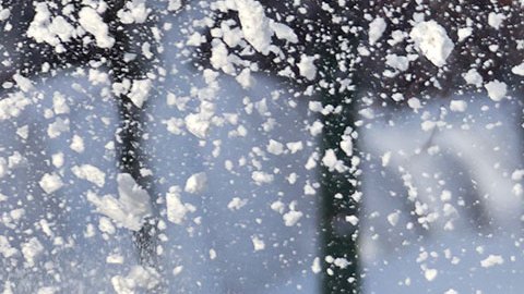 Nueva tormenta invernal comienza a provocar afectaciones en el sur y centro de Estados Unidos.