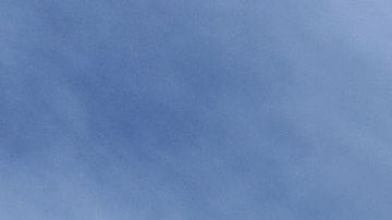 LAPD confirmó el arresto de los involucrados.