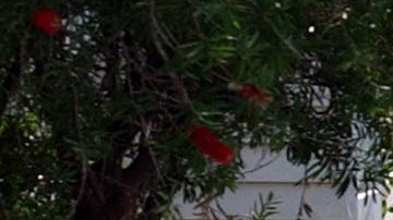 Por la presencia de químicos peligrosos, los Bomberos enviaron a un equipo especial a la escena.