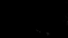 El edificio del Capitolio de California en Sacramento.