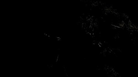 El edificio del Capitolio de California en Sacramento.