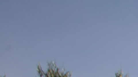 Una propuesta pide que los agentes tengan titulo universitario.