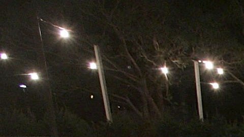 La Policía de Pomona informó de los arrestos realizados el viernes.