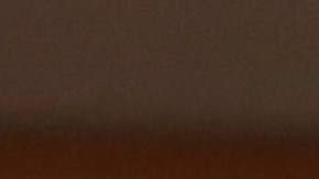 Jennifer Gates, de 25 años, es estudiante de medicina.