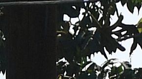 Agentes del Sheriff en el lugar de los hechos.