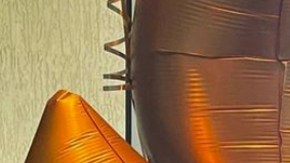 Bárbara Bermudo festeja la vida de Mario Andrés Moreno