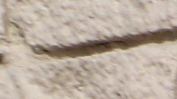 Una trabajadora protesta afuera de la tienda Food 4 Less en Long Beach.