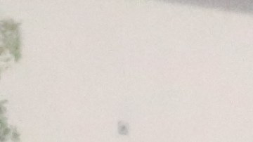 Trabajadora de FEMA lleva a un abuelo al lugar de vacunas del este de LA.  (Jorge Macías)